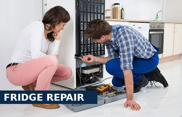 Fridge Repair Wallington